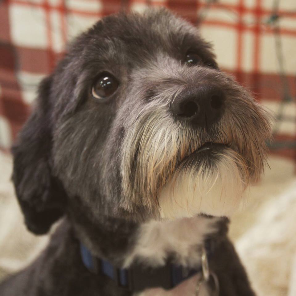 Holiday Hazards part 2 of 3