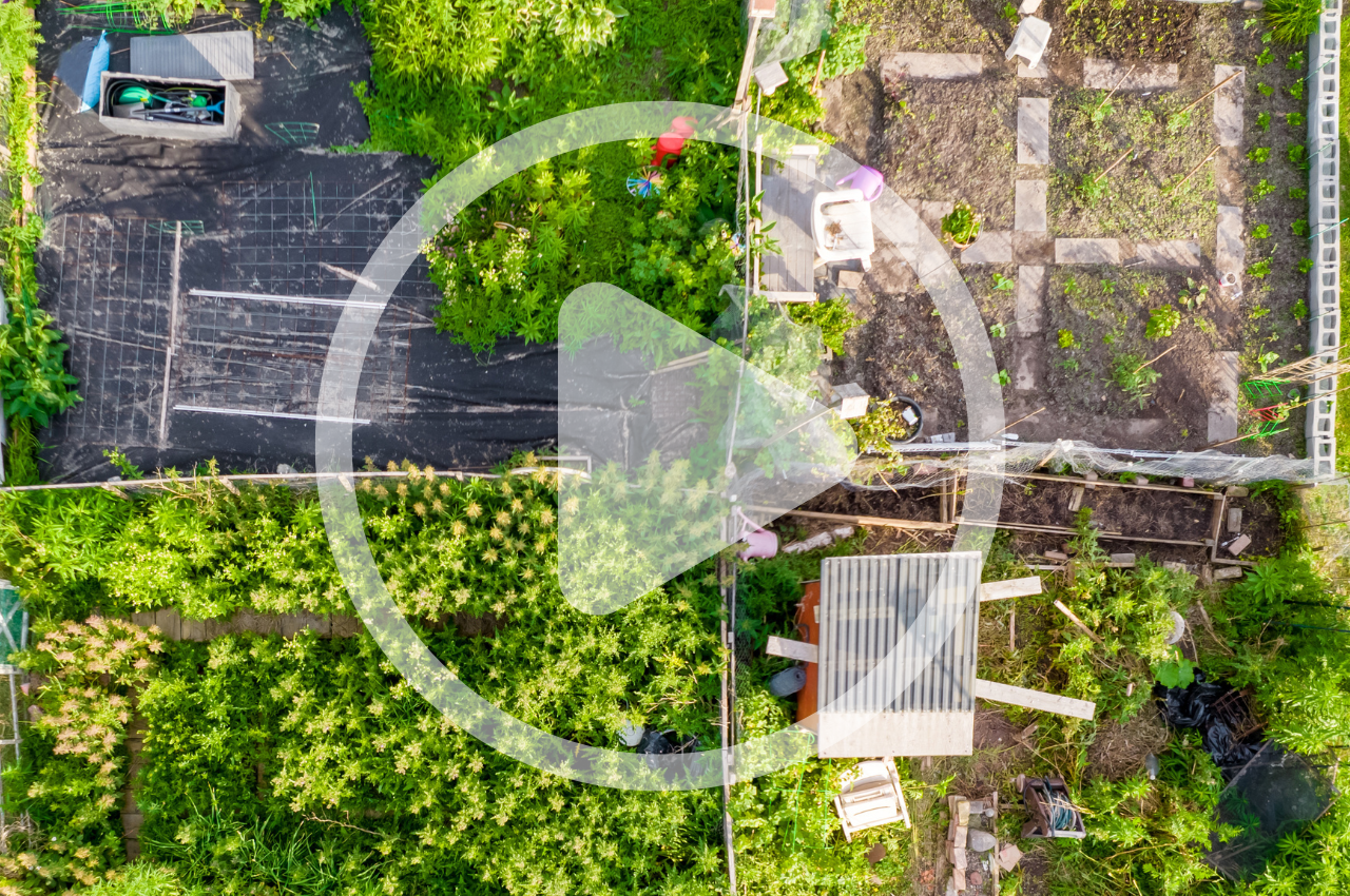 Biomimicry and Soil Health