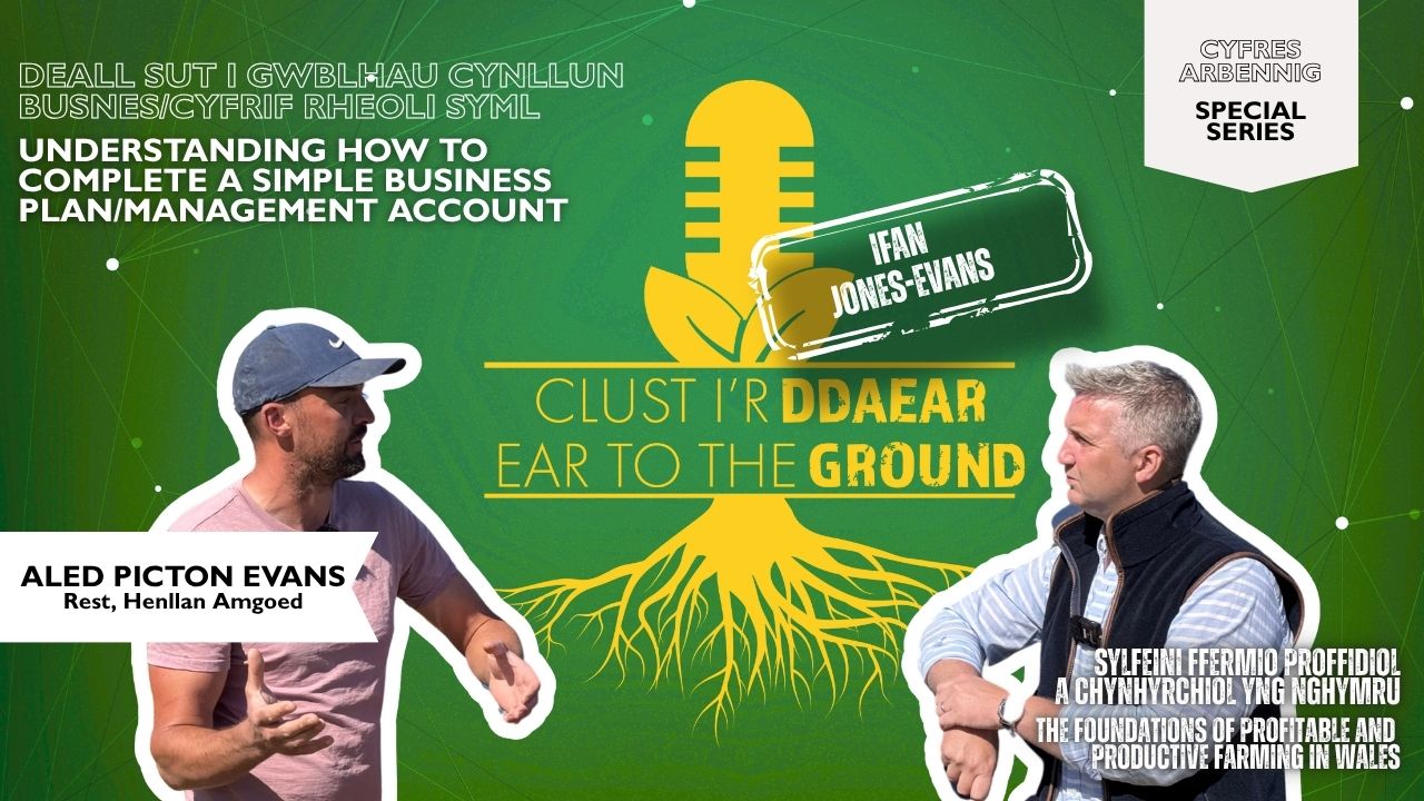 Ear to the Ground / Clust i\'r Ddaear