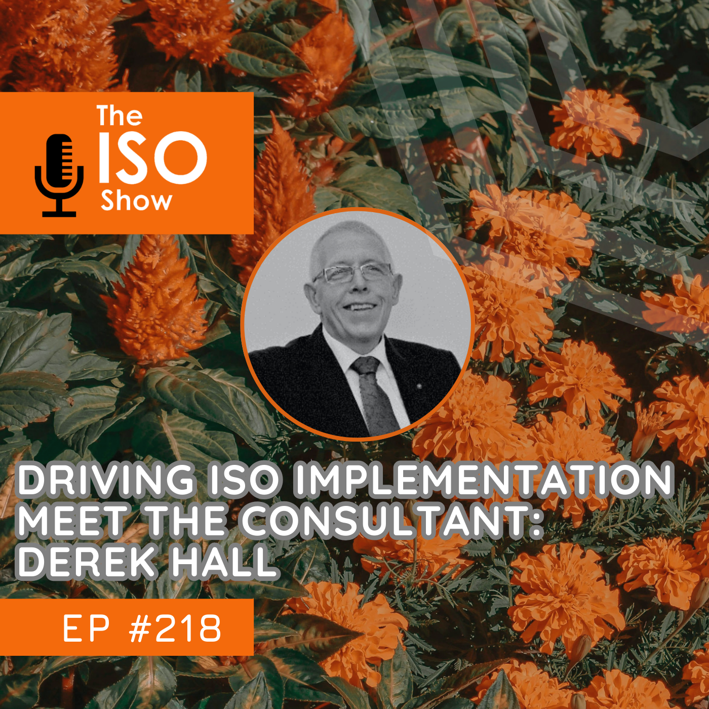 The ISO Show