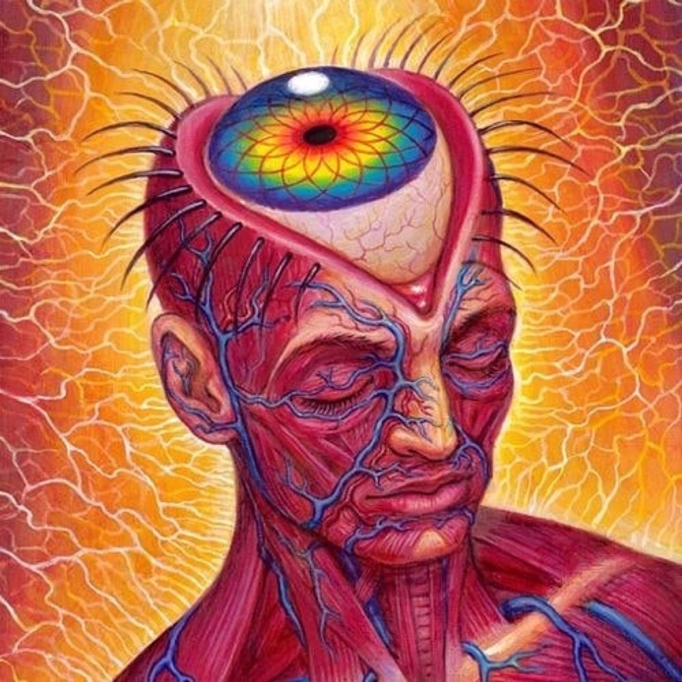 Tin Foil Hat With Sam Tripoli