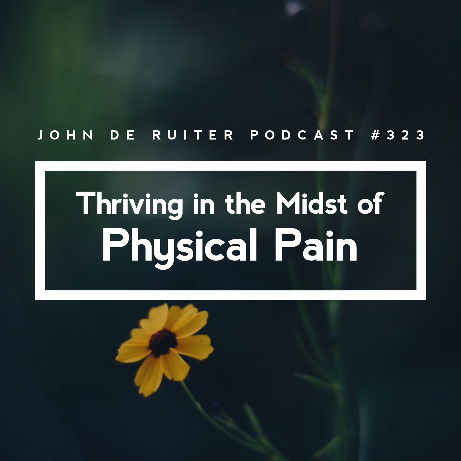 JdR Podcast 323 - Thriving in the Midst of Physical Pain
