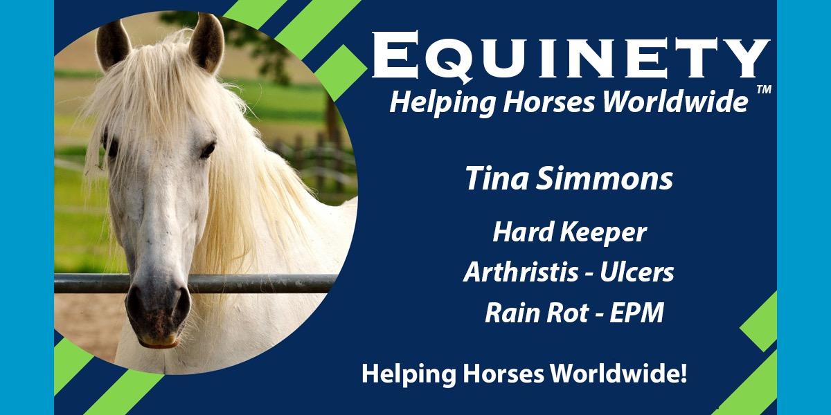 Team Equinety Podcast