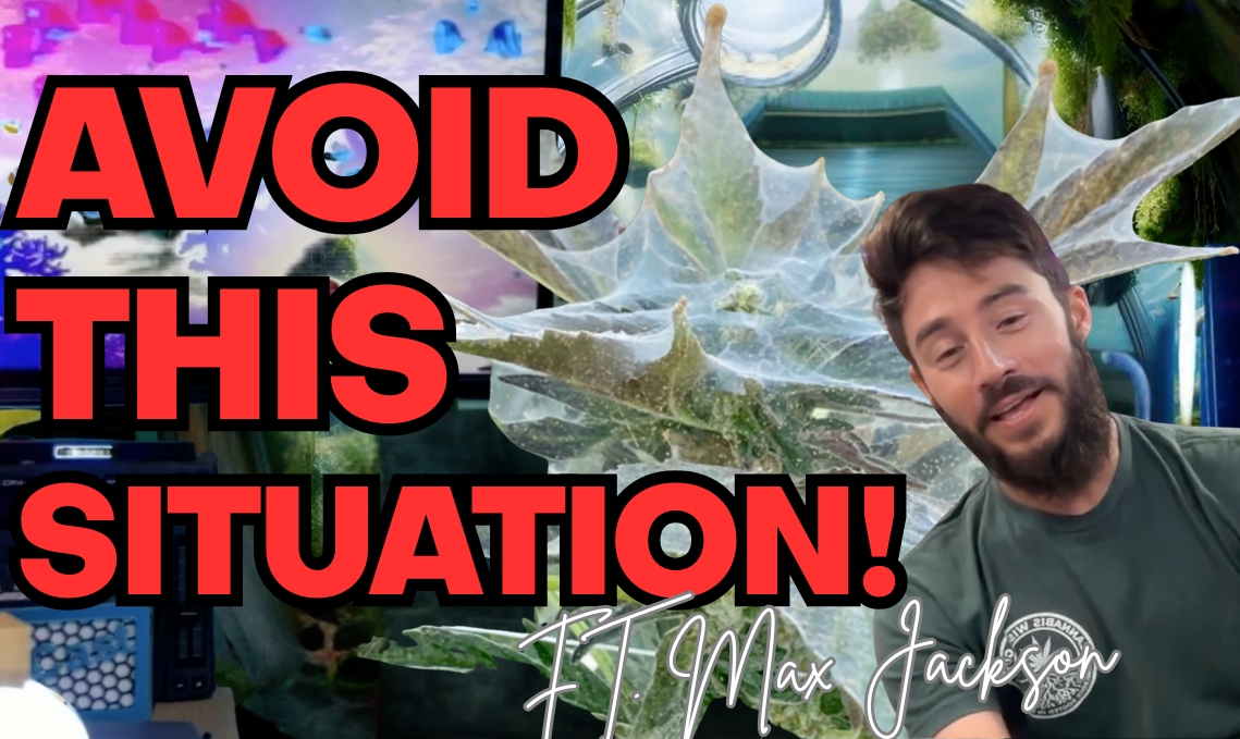 ☠️Pest Nightmares, Garden Monitoring, and Joining the Industry ft. Max Jackson