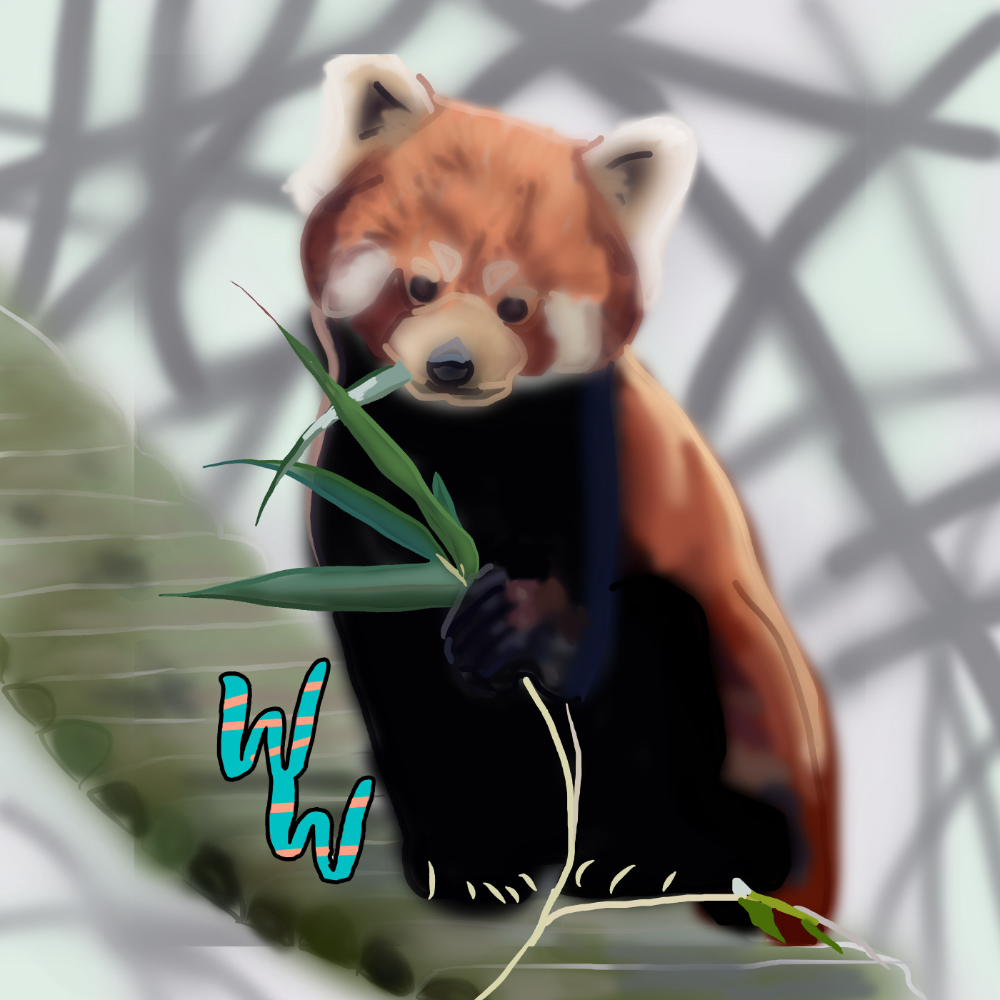 Red Panda