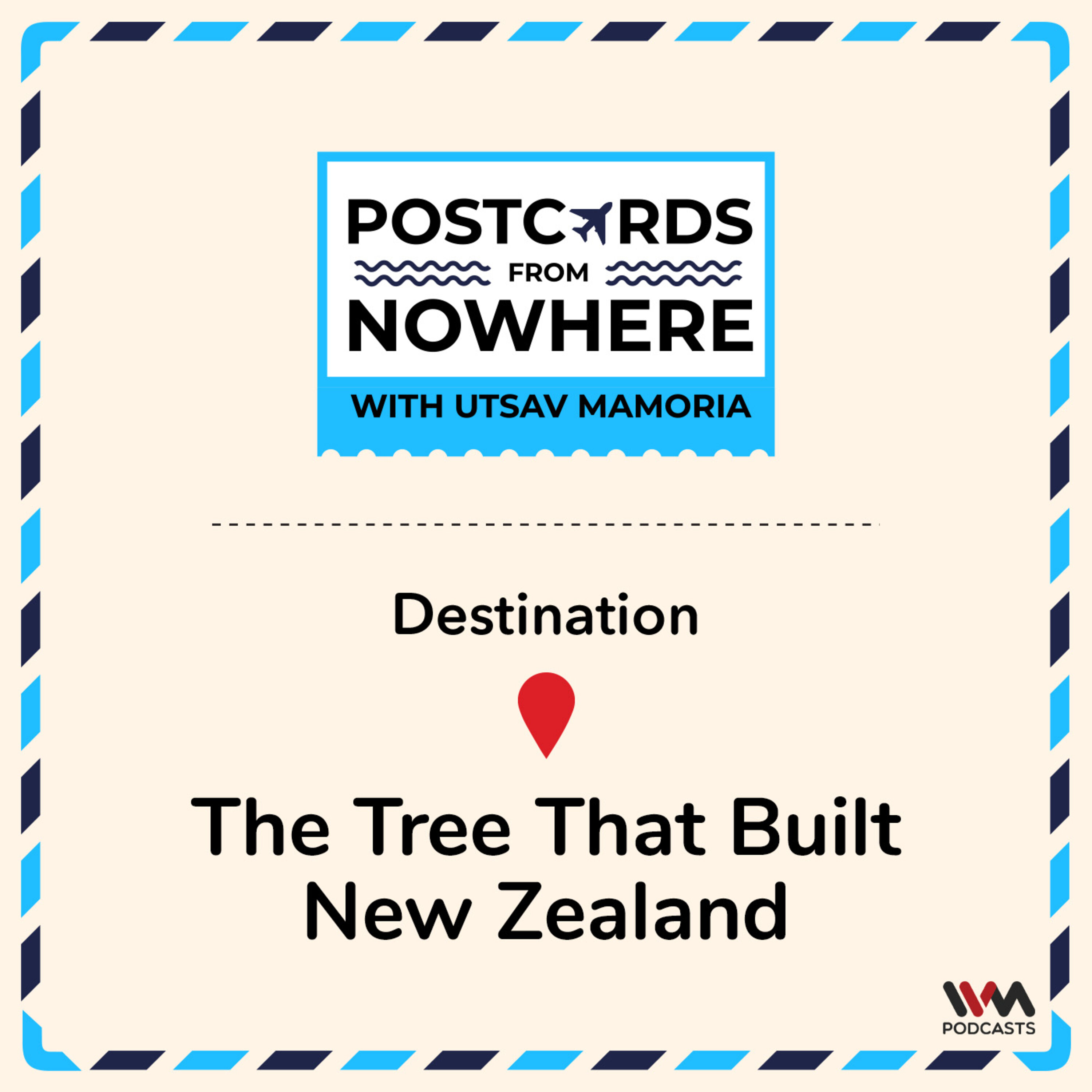 The tree that built New Zealand