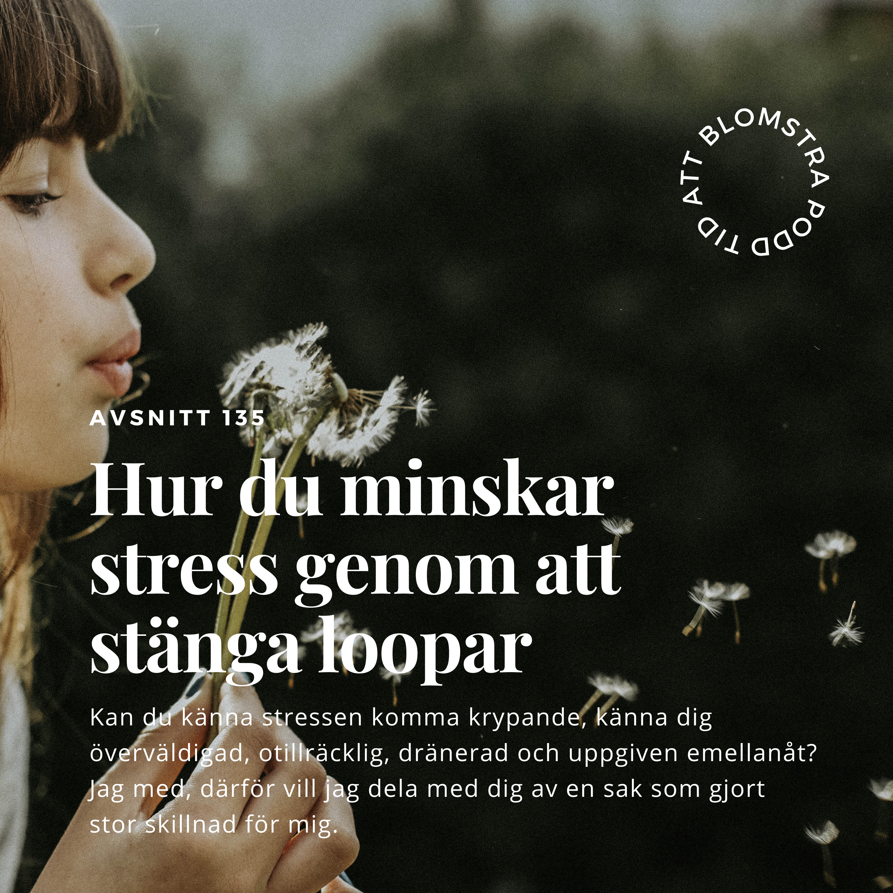 MOMENTUM – vision till verklighet, transformerande ledarskap och frihetsföretagande