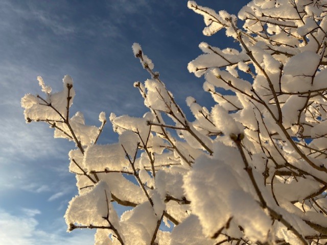 447. Sitter här och skrollar