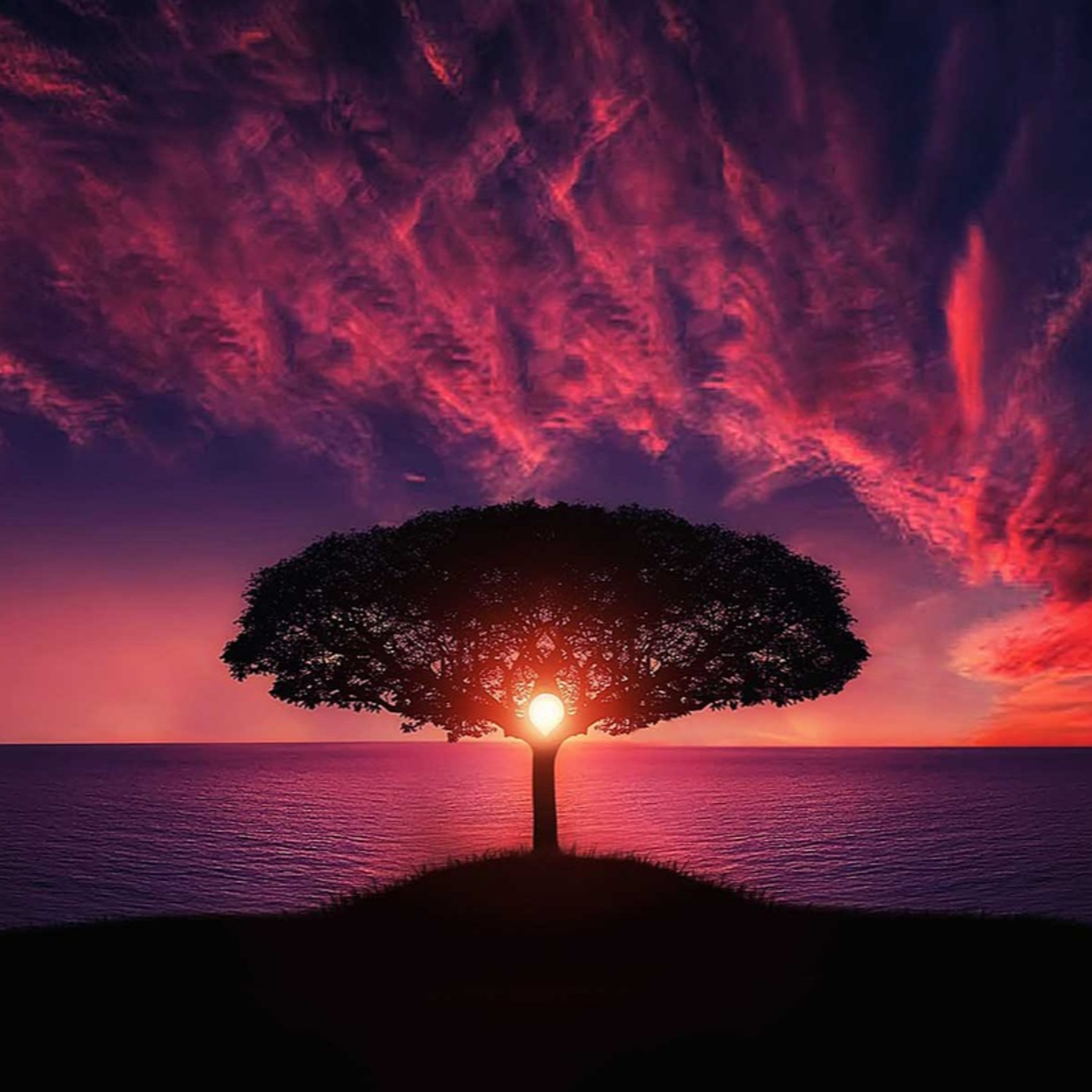 1 Hour Meditation Music • Healing Meditation Music, Relax Mind Body