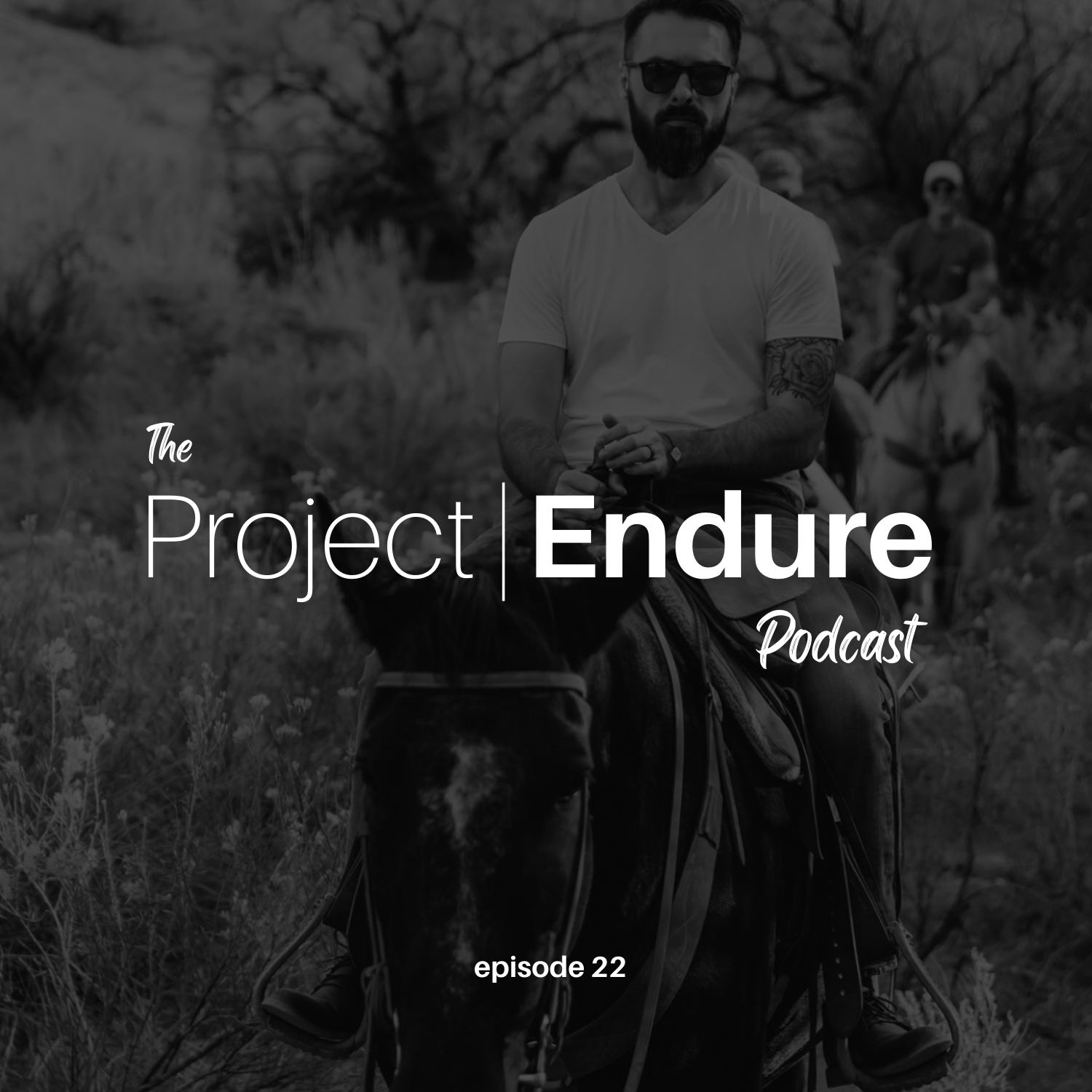 Project Endure Podcast