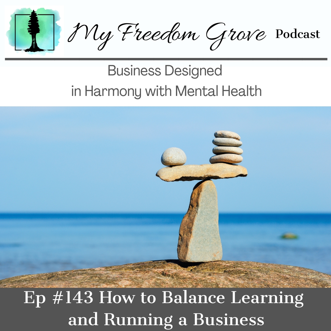 Episode #143 How to Balance Learning and Running a Business