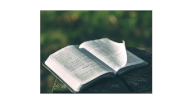 Where Does True Knowledge Come From?