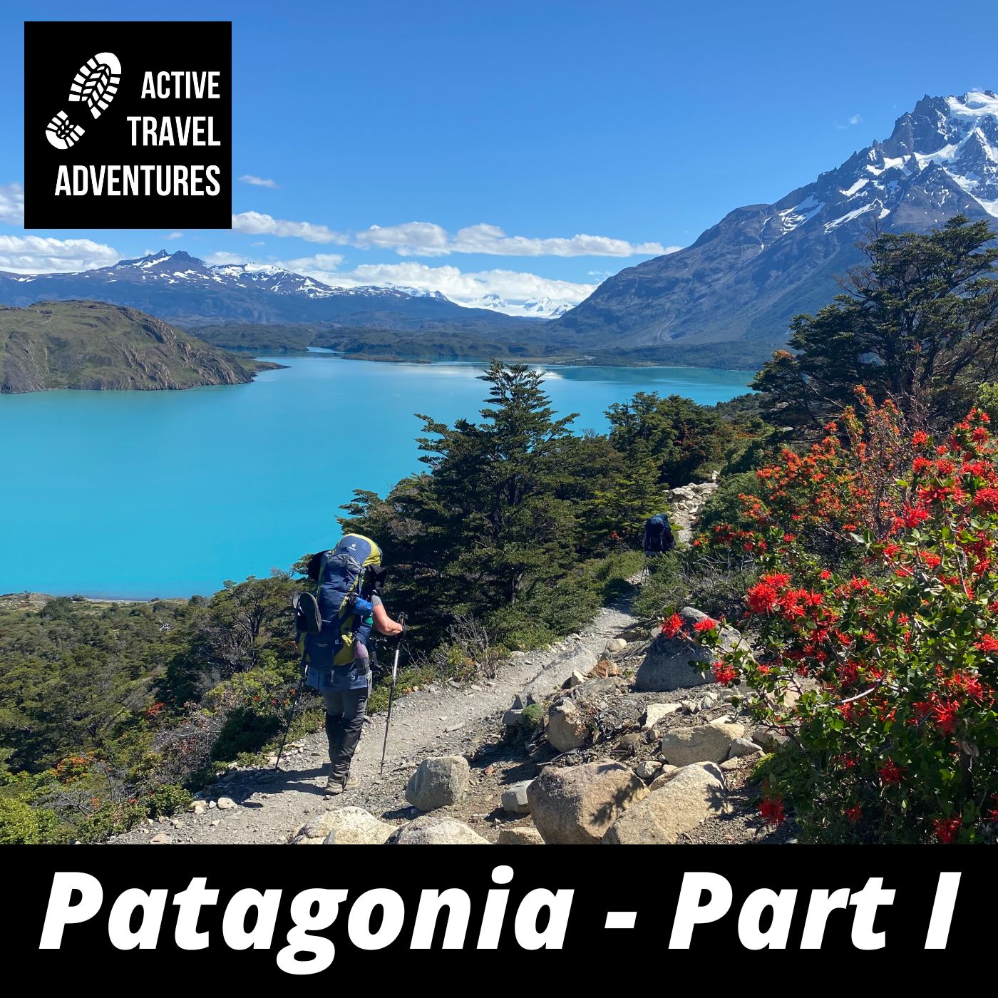 Patagonia Part I: Hike the W Trek in Argentina