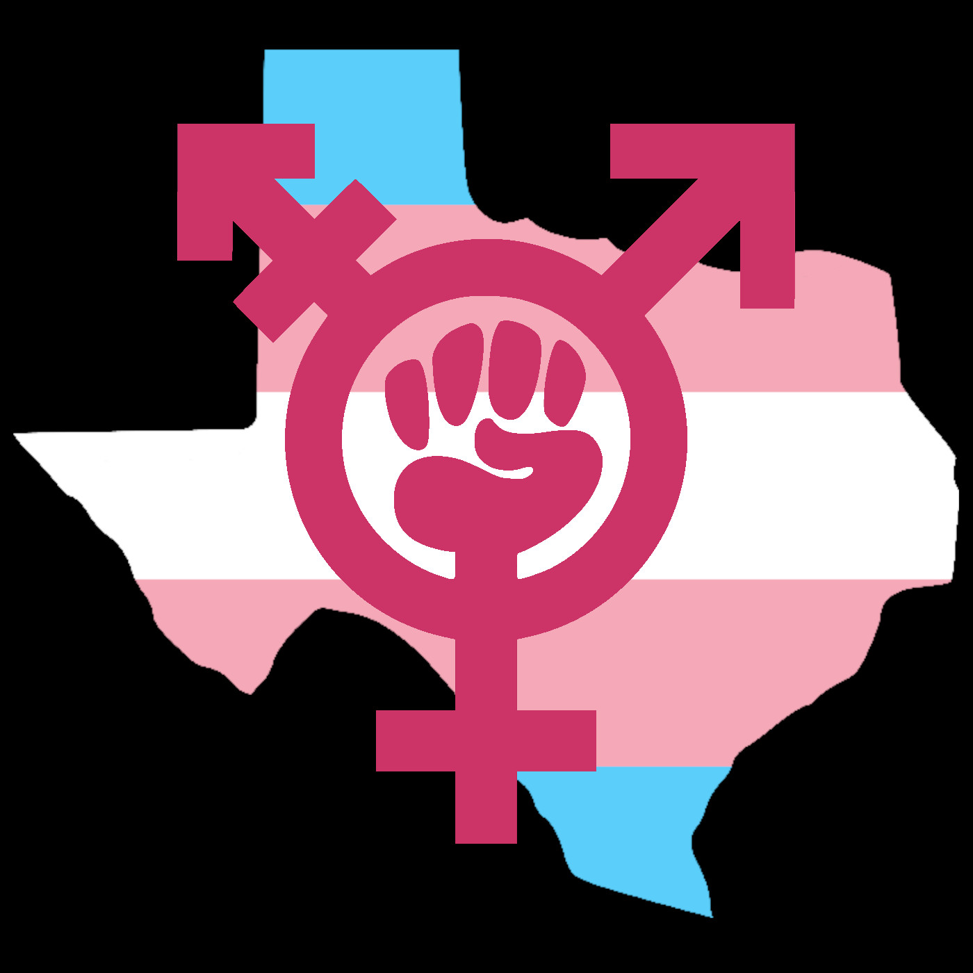 Trans Resilience in Texas