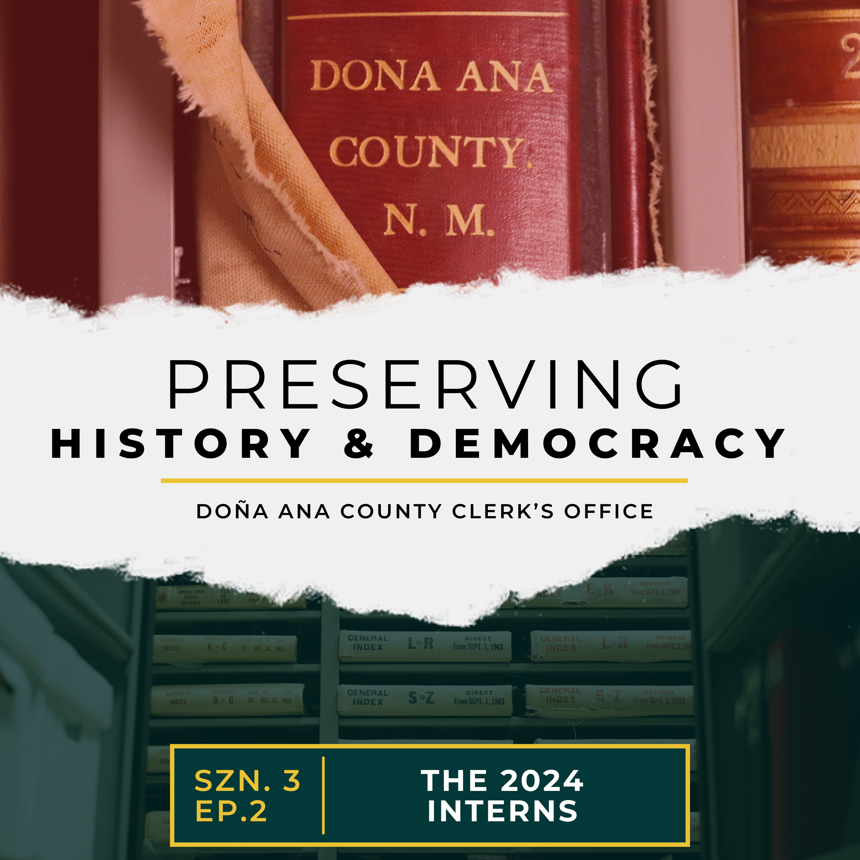 Preserving History and Democracy