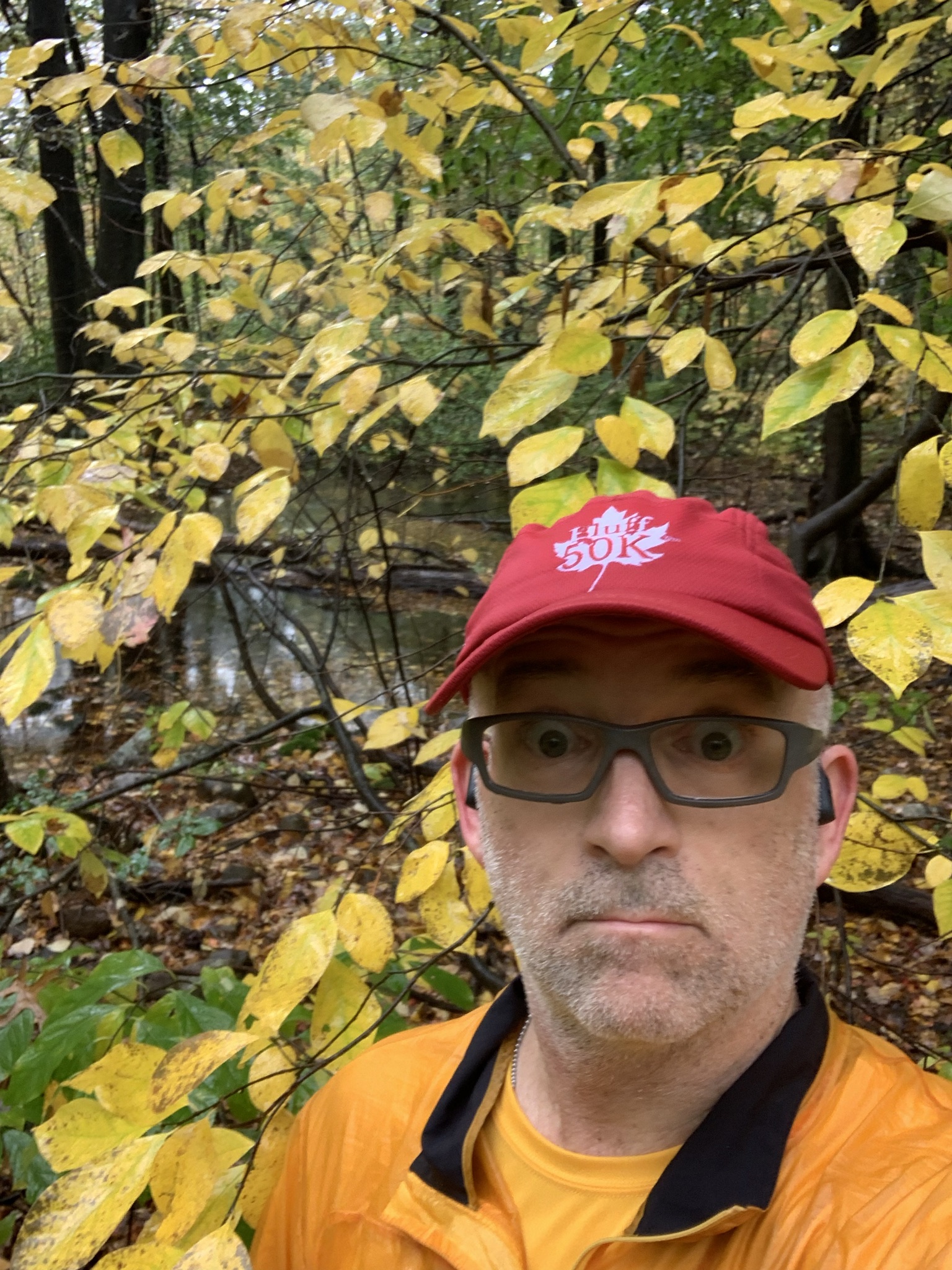 161 Leaf Catchassing