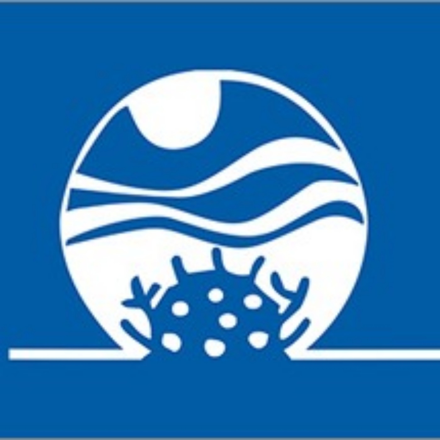 Magical Marine Memorials – George Frankel, Founder of Eternal Reefs – Creating Environmentally-Friendly, Living Memorial Reefs For Departed Loved Ones
