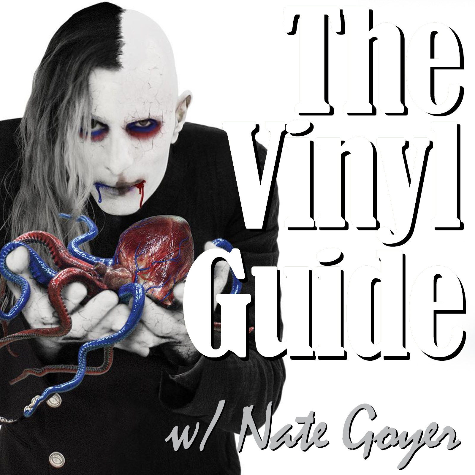 The Vinyl Guide - Artist Interviews for Record Collectors and Music Nerds