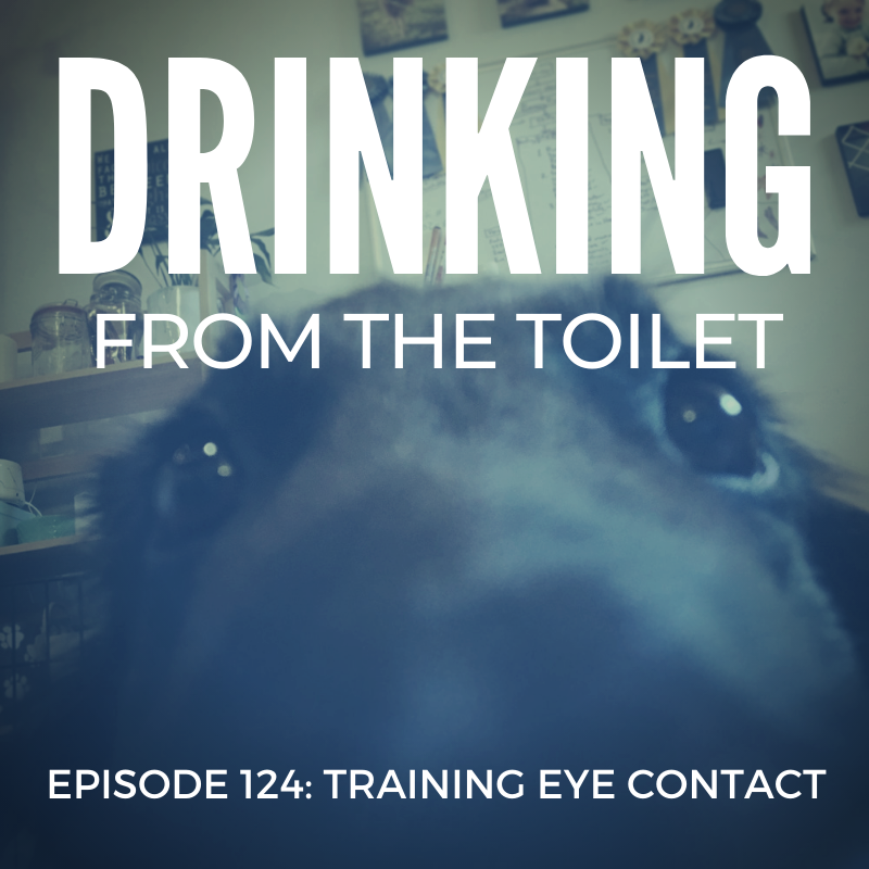 #124: Training Eye Contact