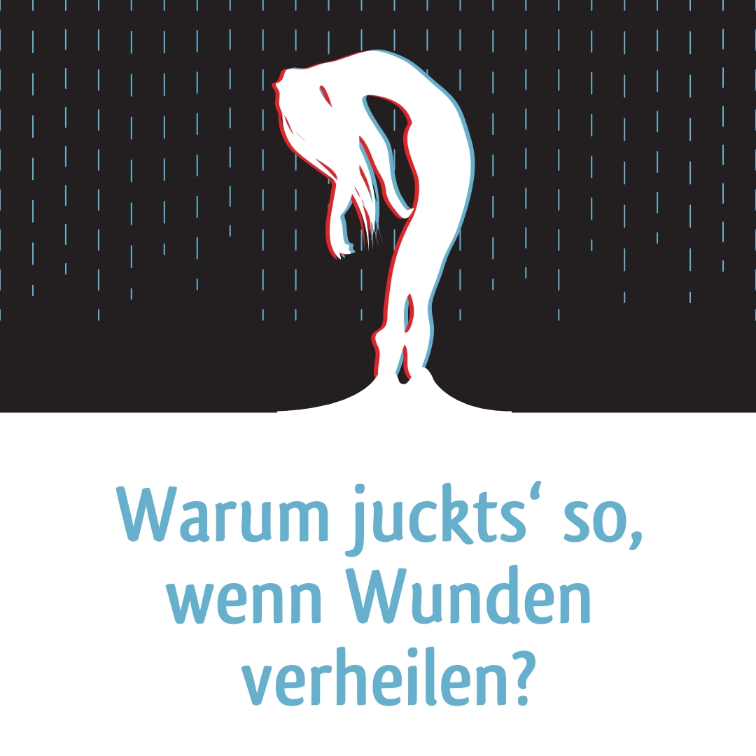 Wunderwelt Körper