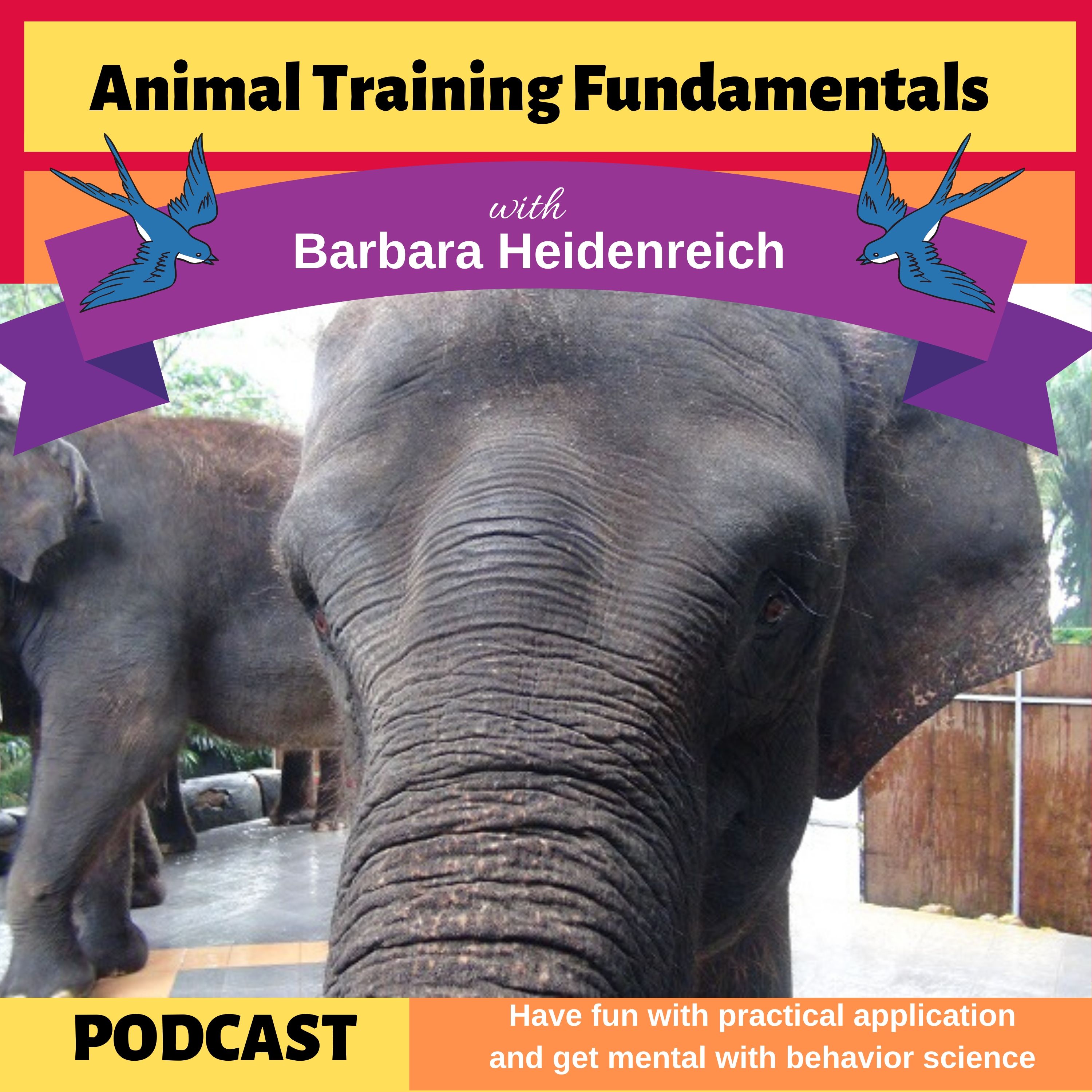 Animal Training Fundamentals with Barbara Heidenreich