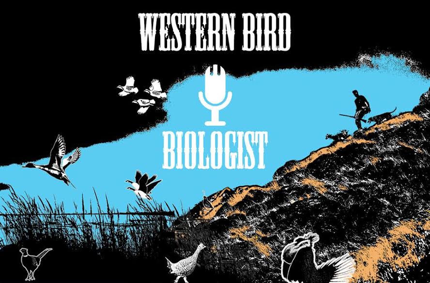 Montana upland game GURU Ken Plourde talks about birds n such in Northeast MT