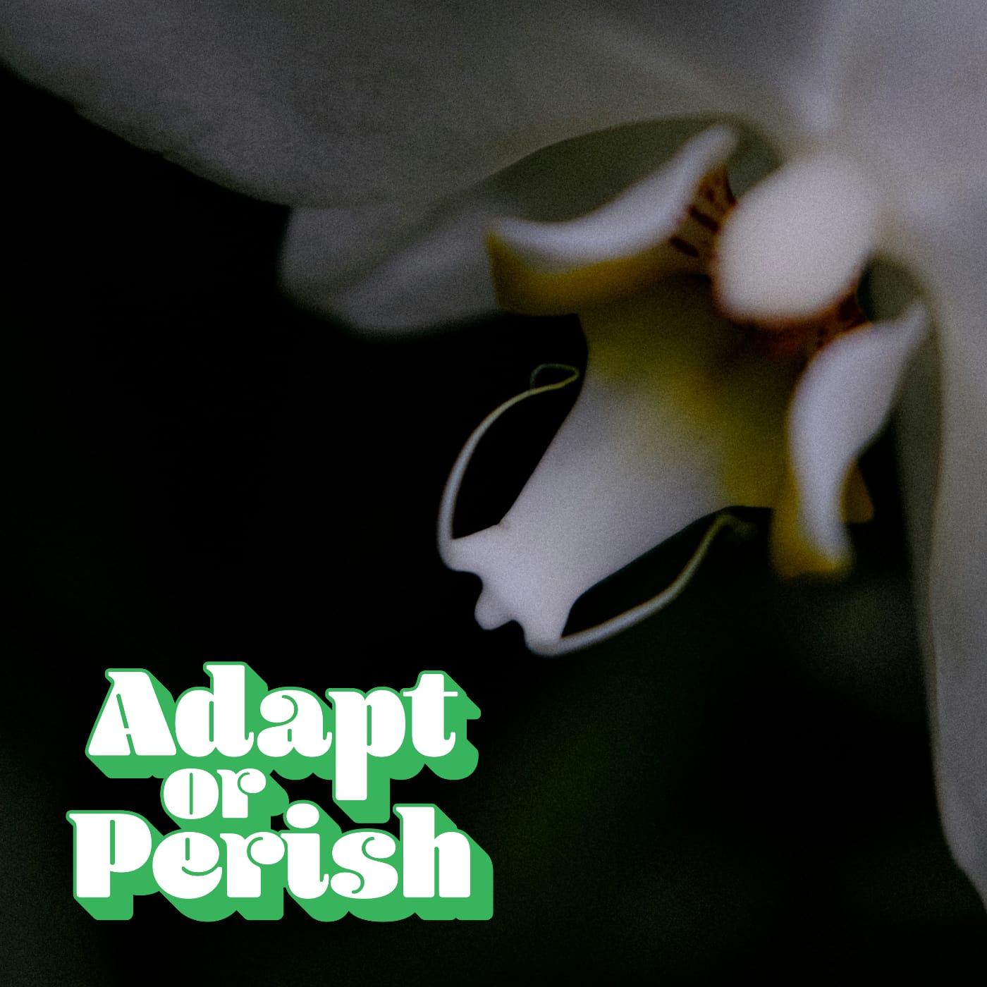 Adaptation (Ep. 173)