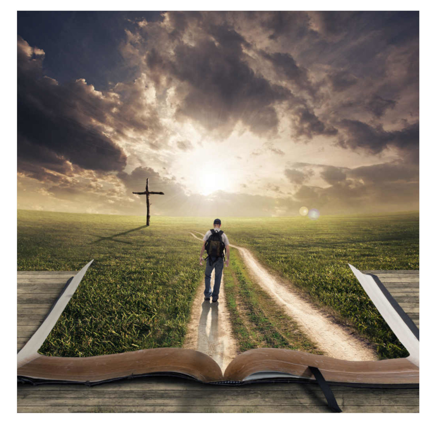 One Genesis Book