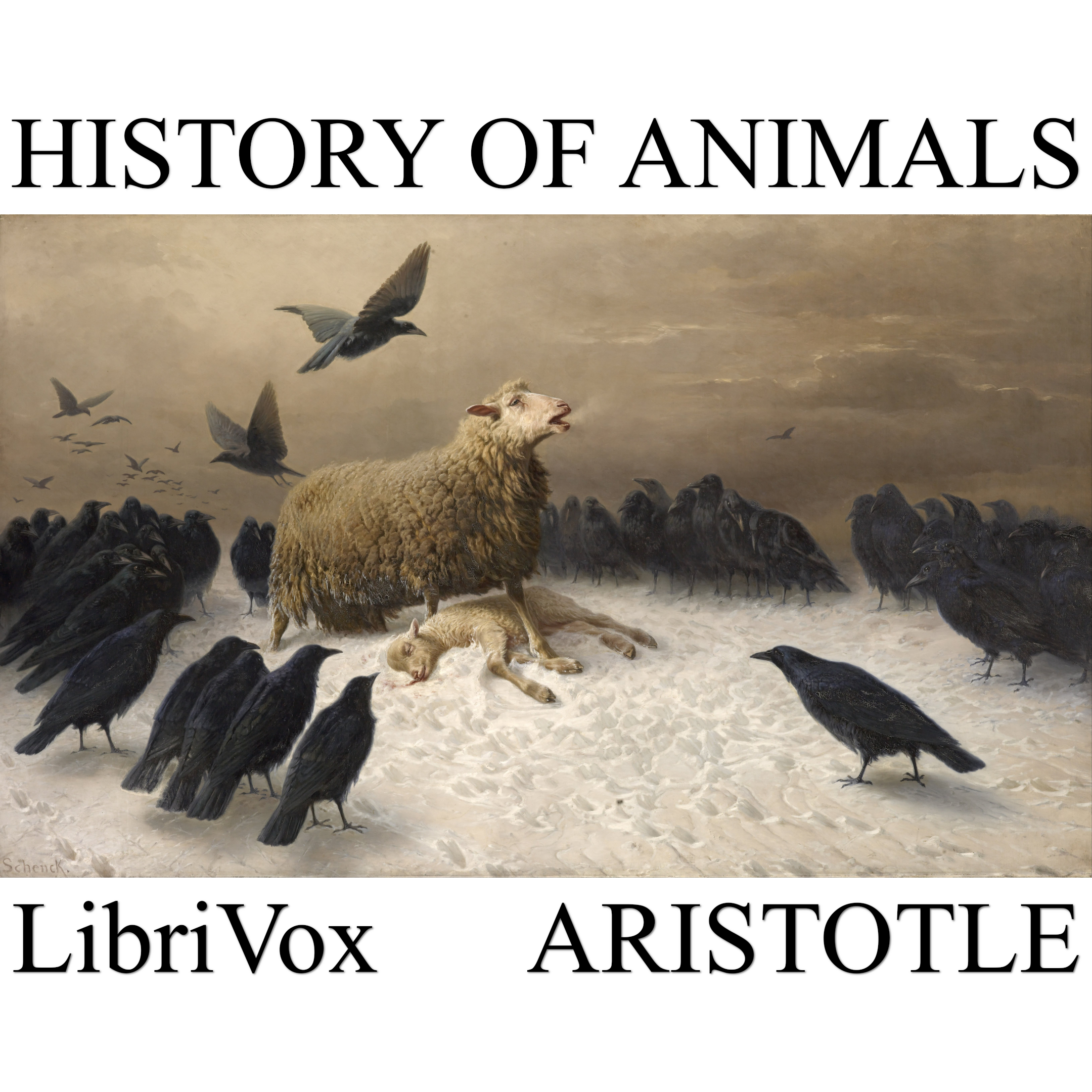 History of Animals Book 5 by Aristotle