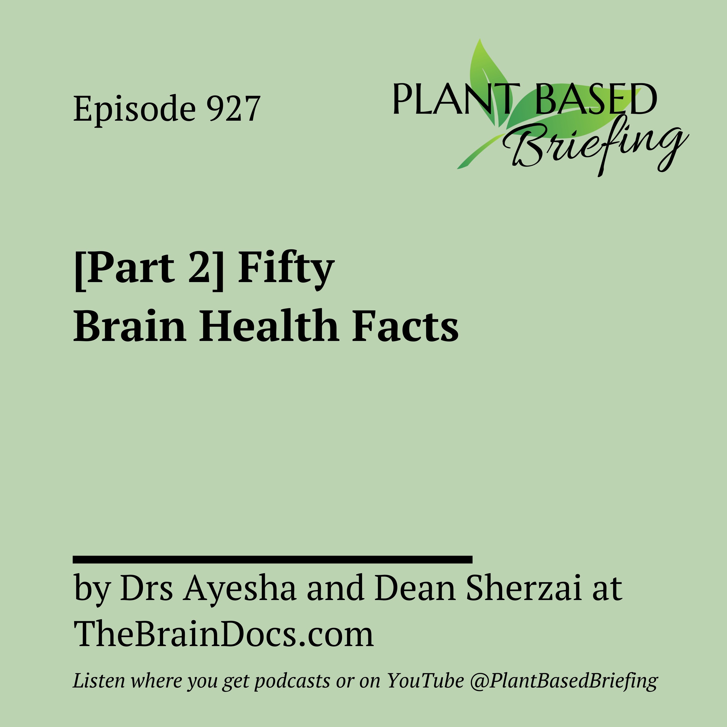 Plant Based Briefing
