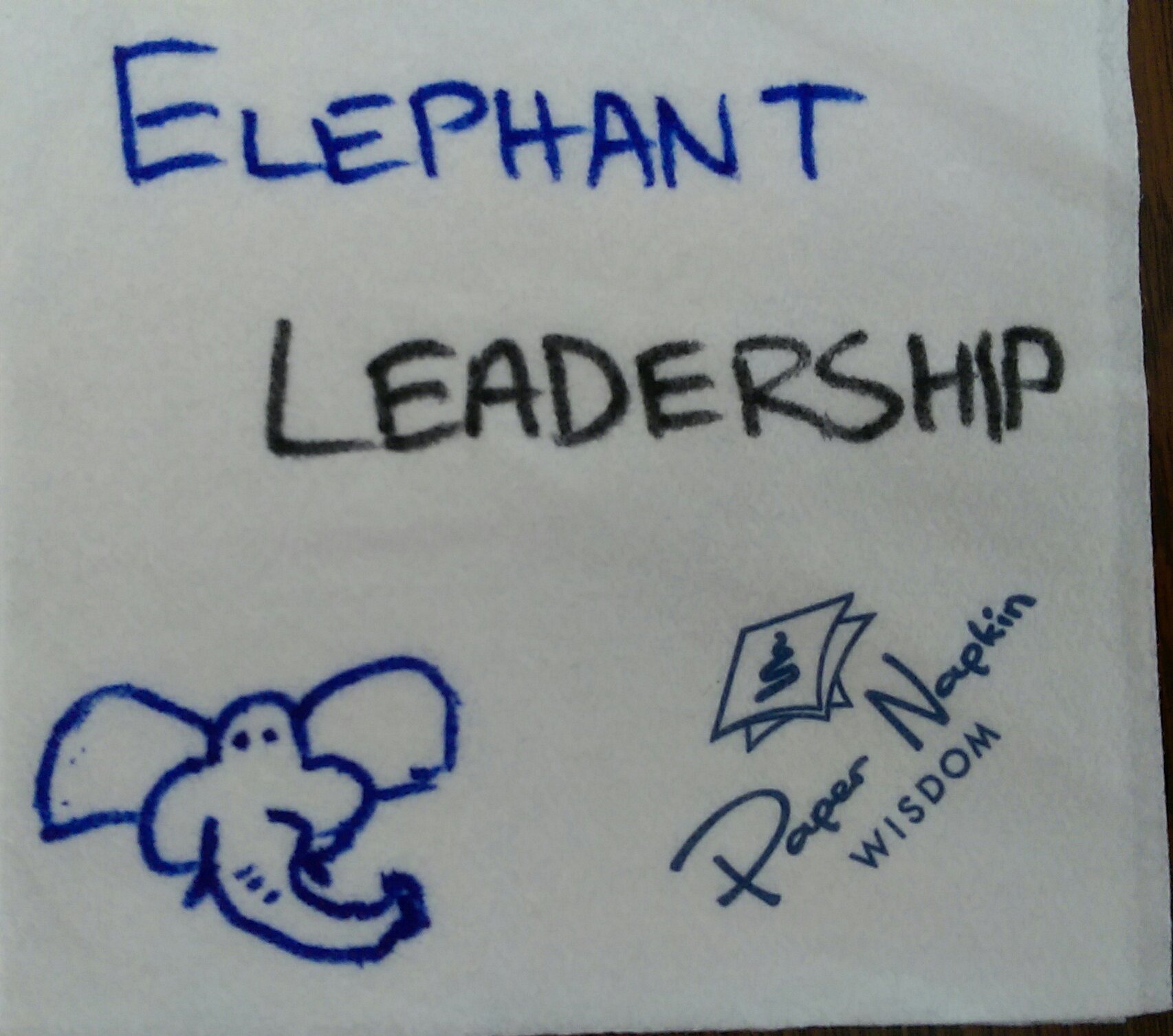 TA 11: Elephant Leadership