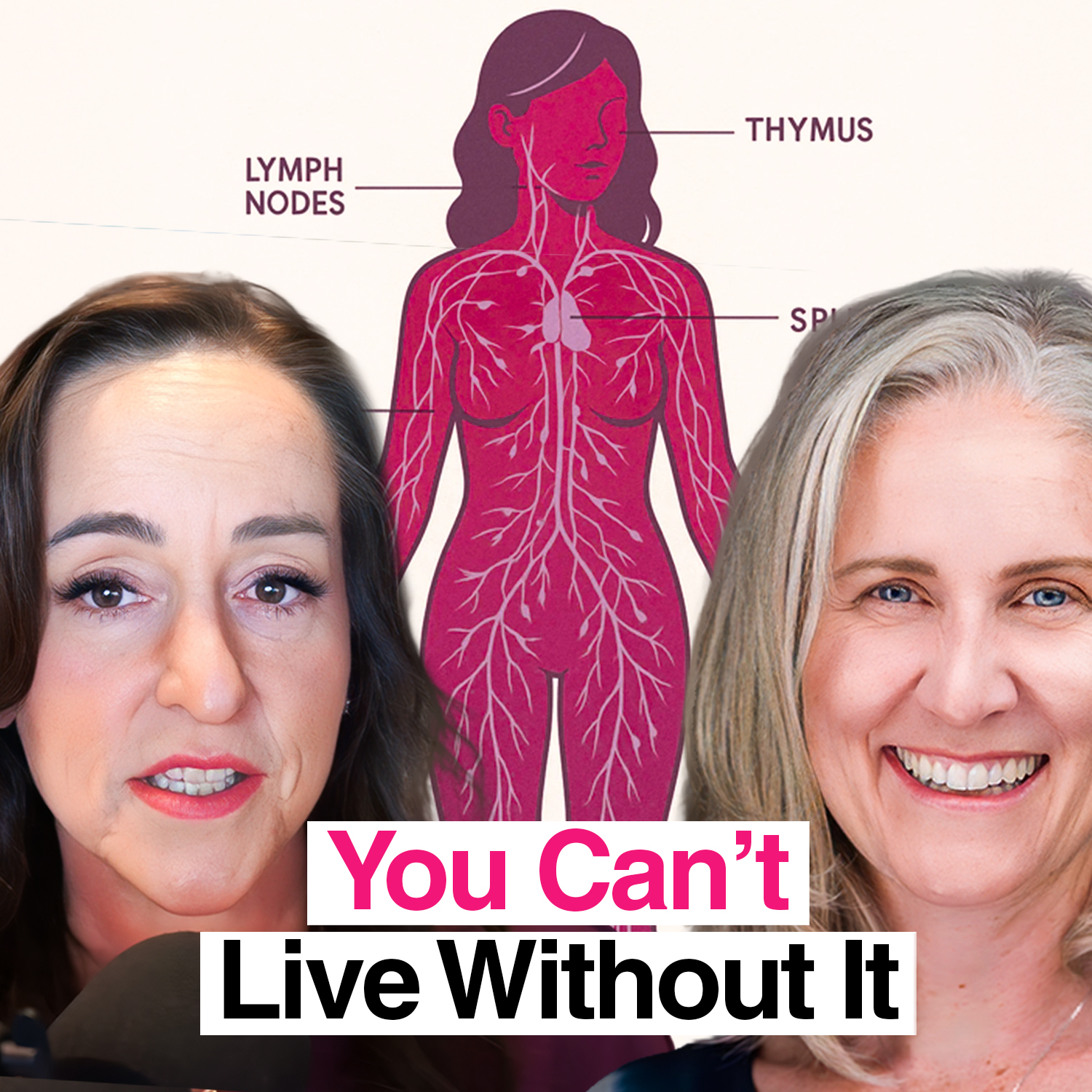 We Cannot Live Without The Lymphatic System for 1 Minute We Cannot Live Without The Lymphatic System for 1 Minute