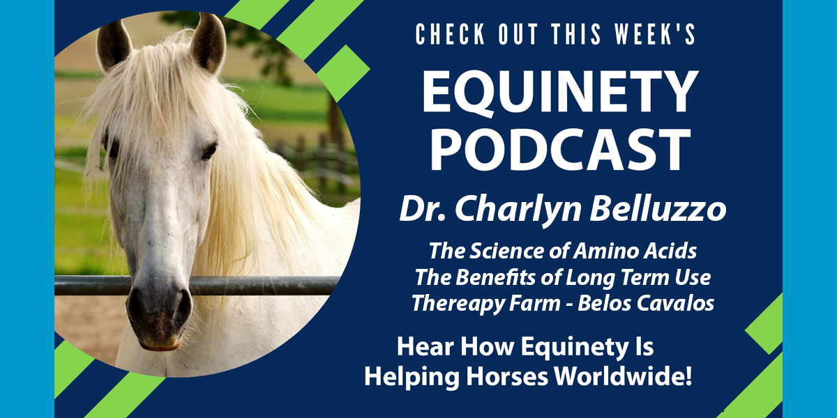 Team Equinety Podcast