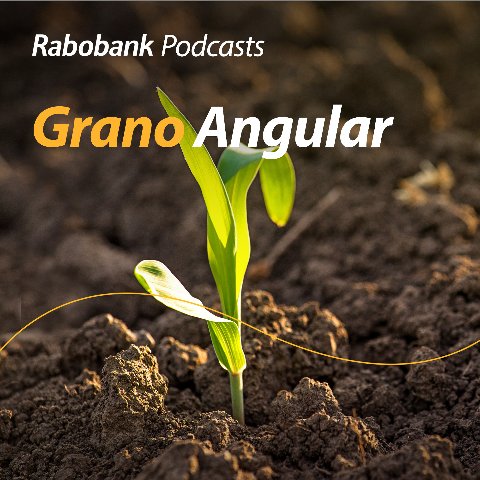 Grano Angular: Podcast de agroanálisis