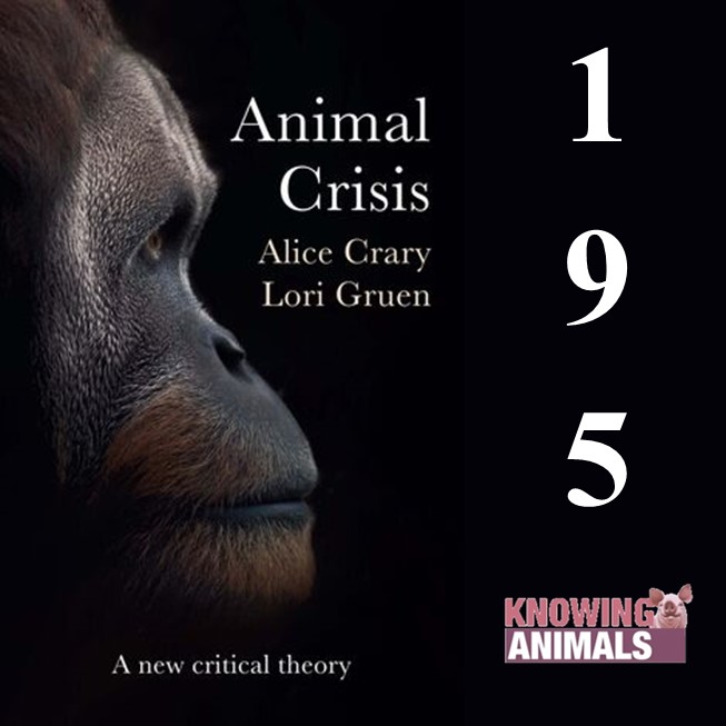 Knowing Animals
