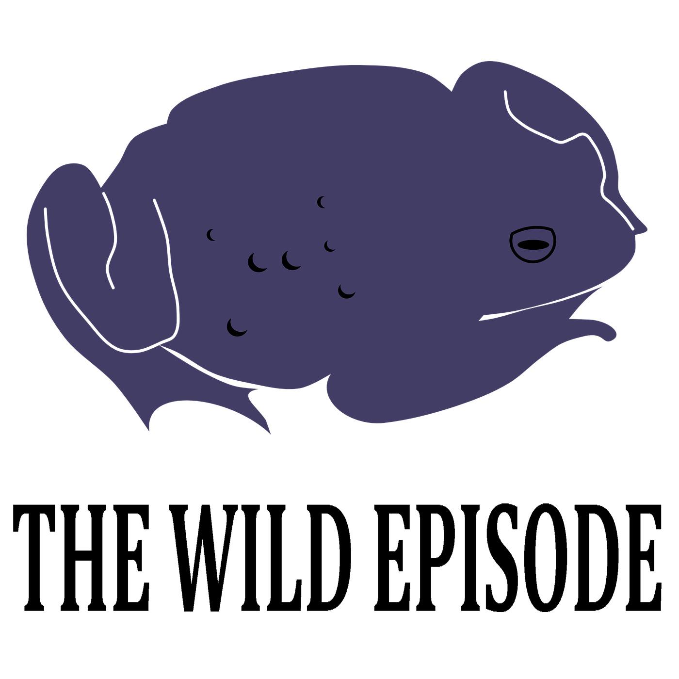 The Wild Episode