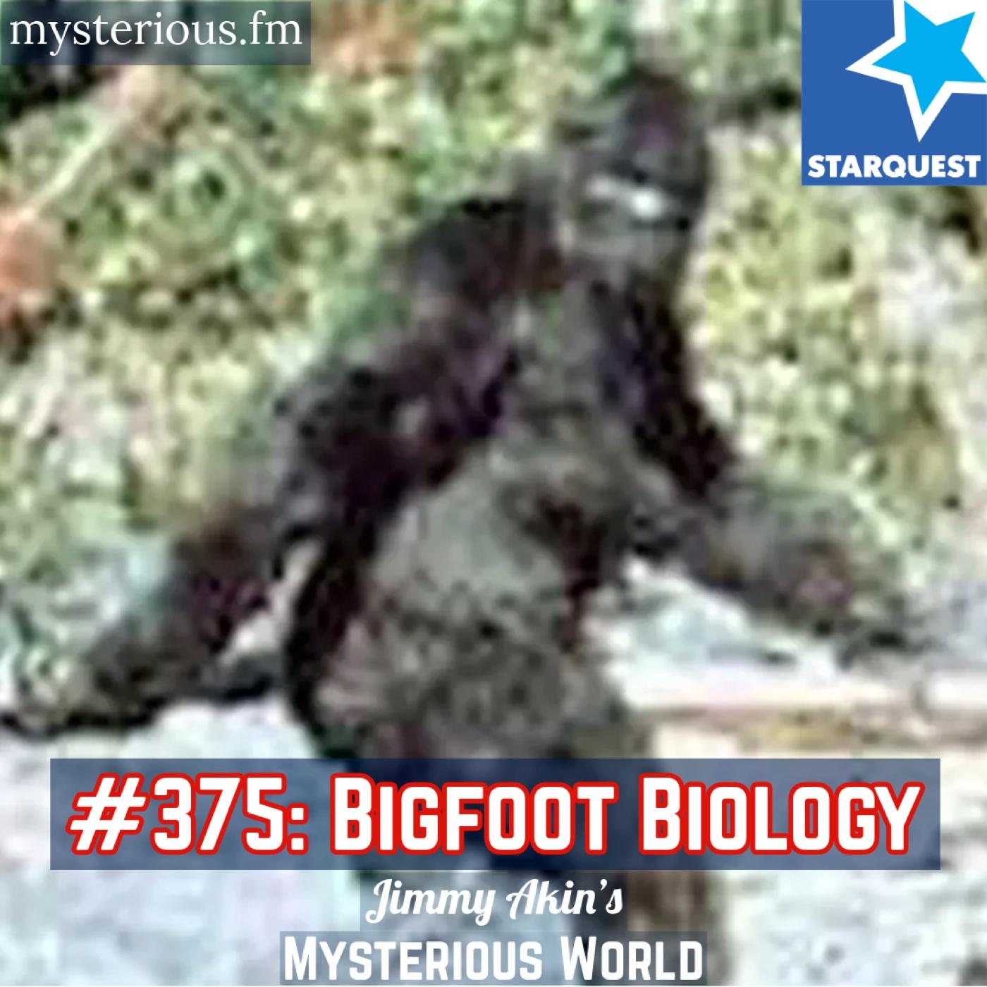 Bigfoot Biology (Sasquatch, Cryptid, Cryptozoology) - Jimmy Akin's Mysterious World