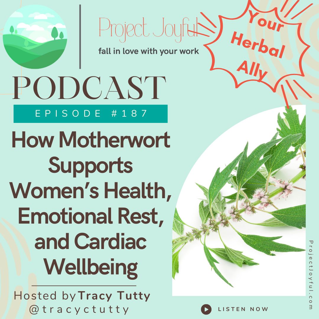 How Motherwort Supports Women’s Health, Emotional Rest, and Cardiac Wellbeing