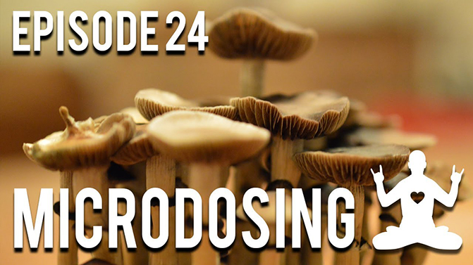 024 - Microdosing