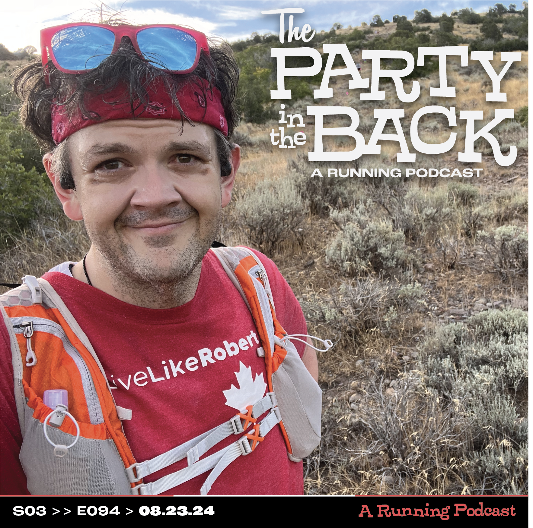 The Party in the Back