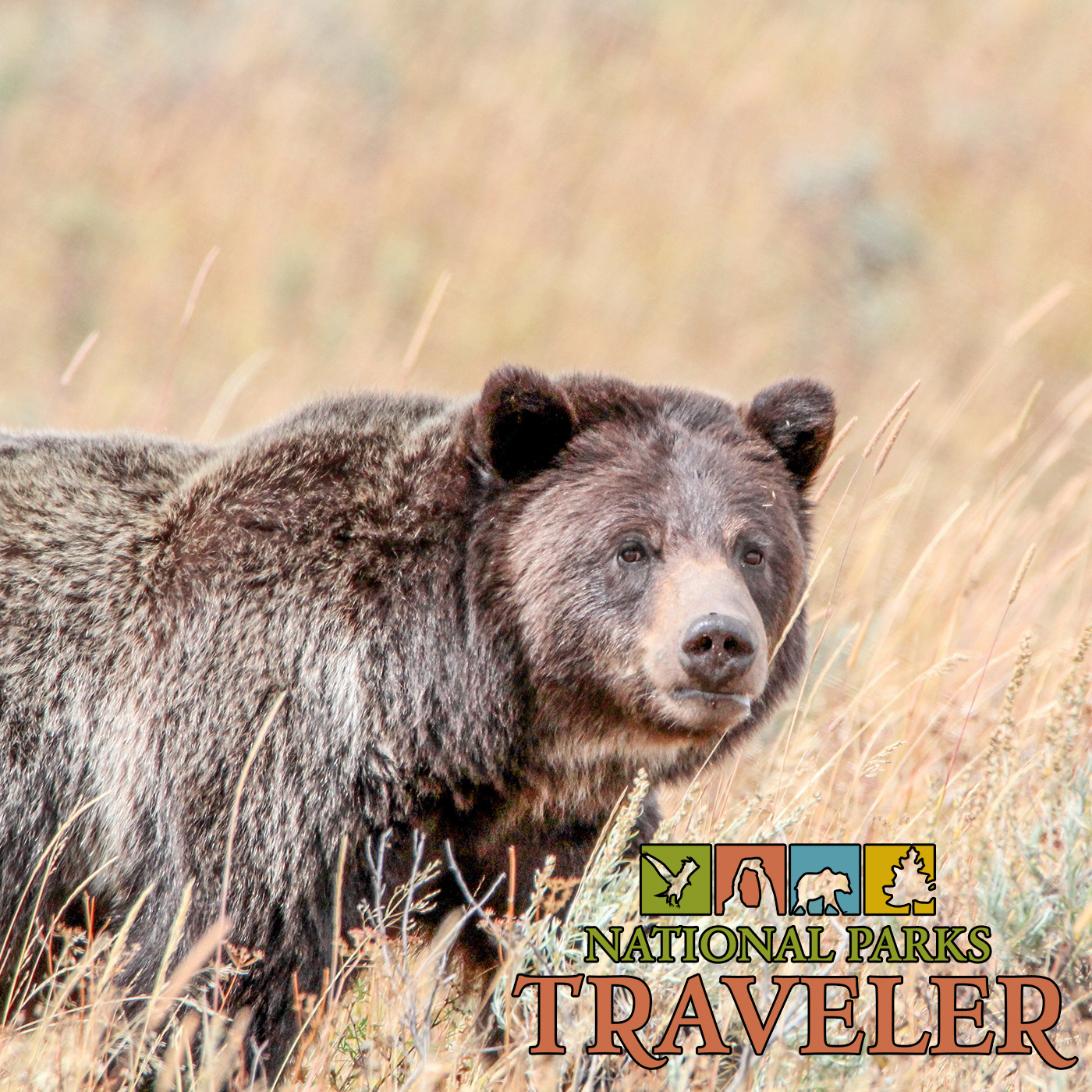 National Parks Traveler Podcast