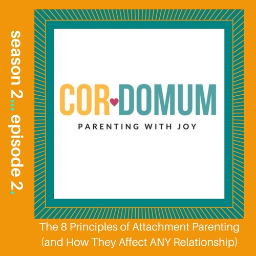 The 8 Principles of Attachment Parenting (and How They Affect Any Relationship)