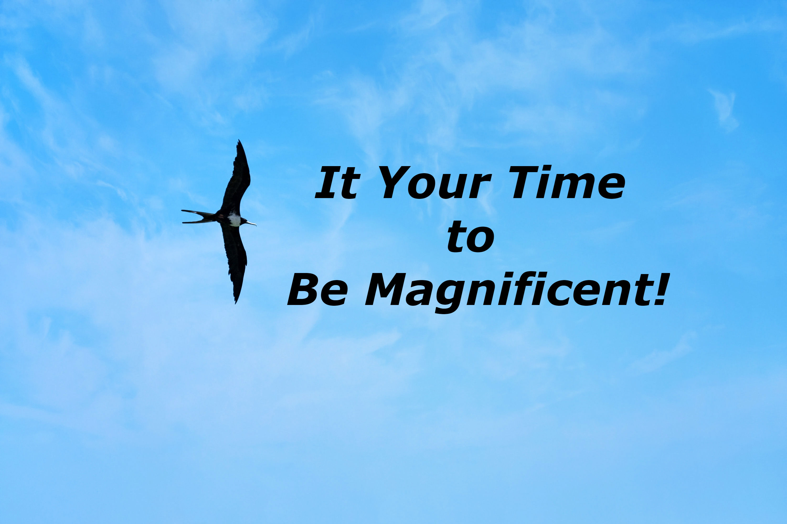 Start Being Comfortable with Your Magnificence