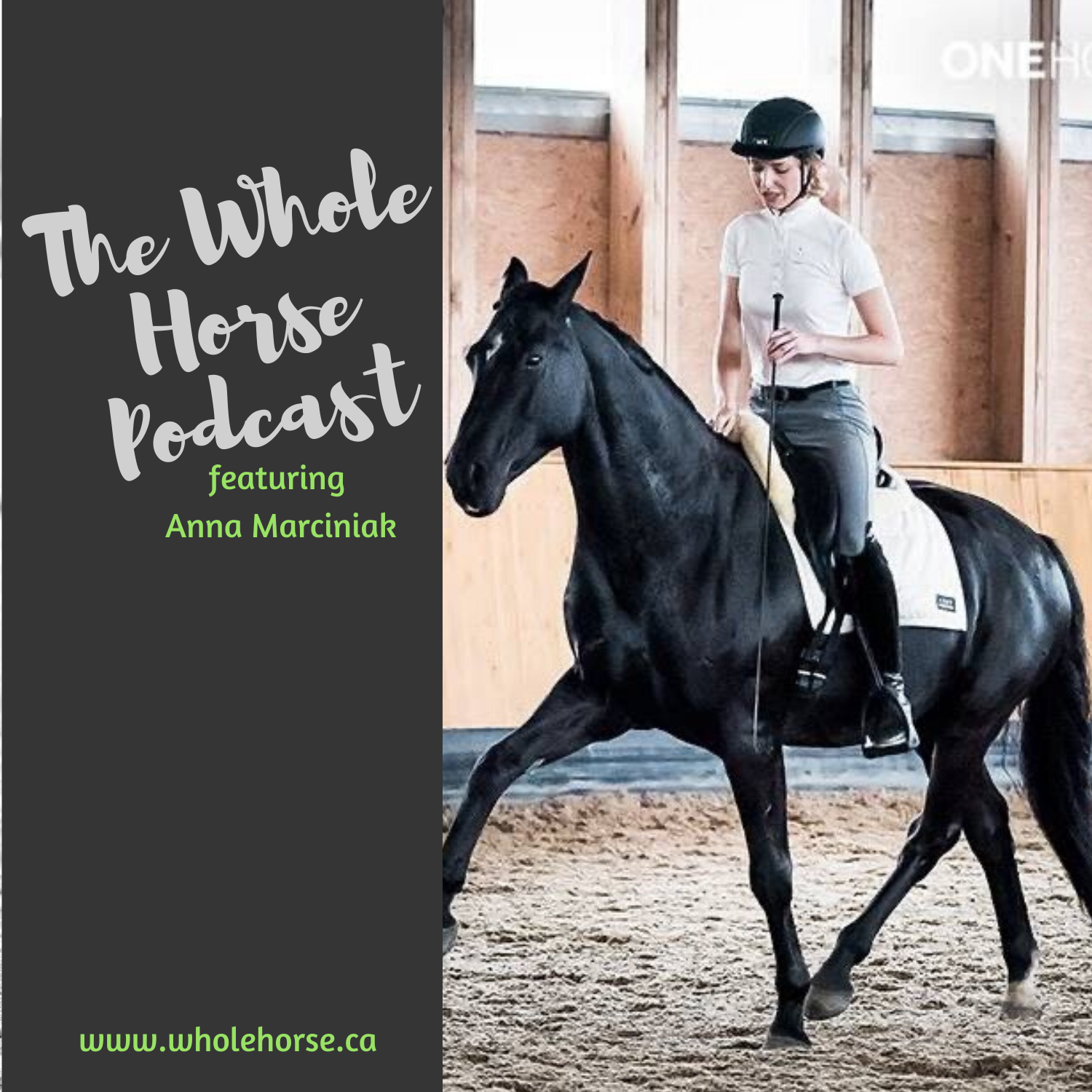 The Whole Horse Podcast with Alexa Linton