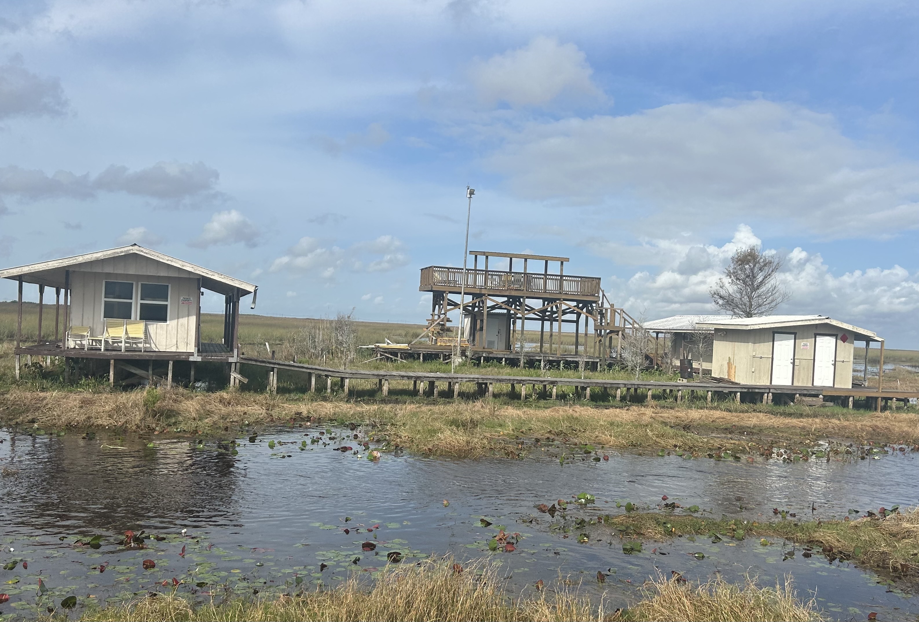 Youth Gator Hunt Youth Gator Hunt