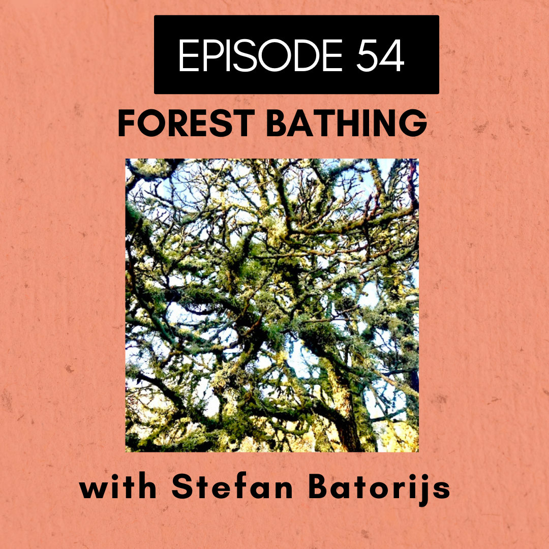 Roots and All - Gardening Podcast