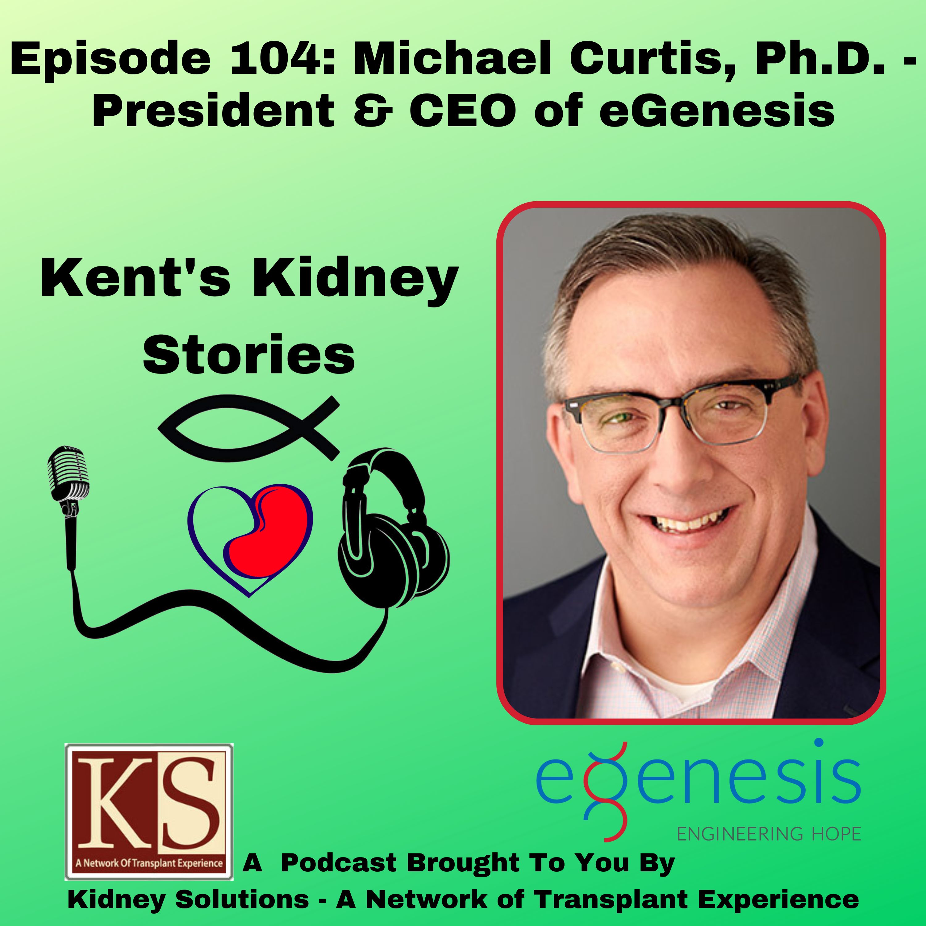 Kent\'s Kidney Stories