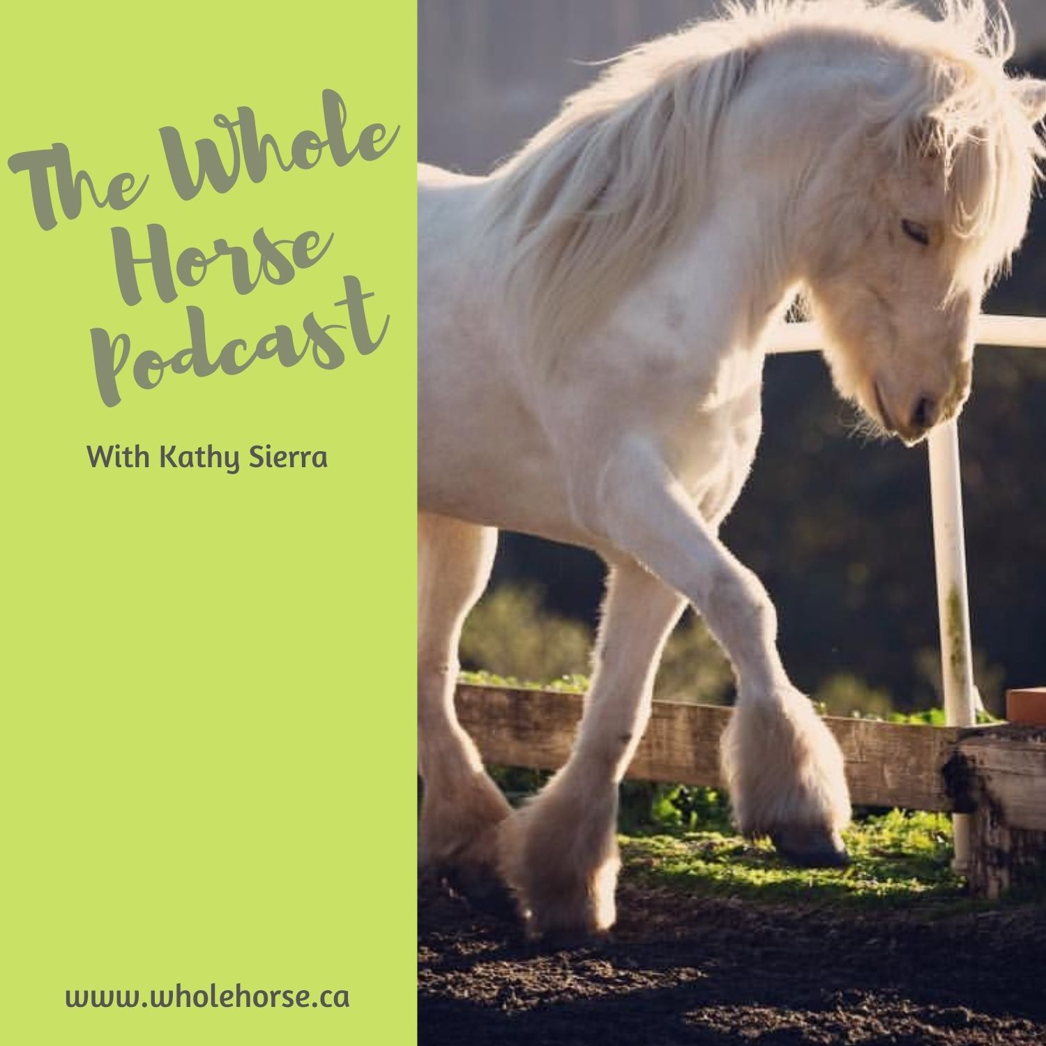 The Whole Horse Podcast with Alexa Linton