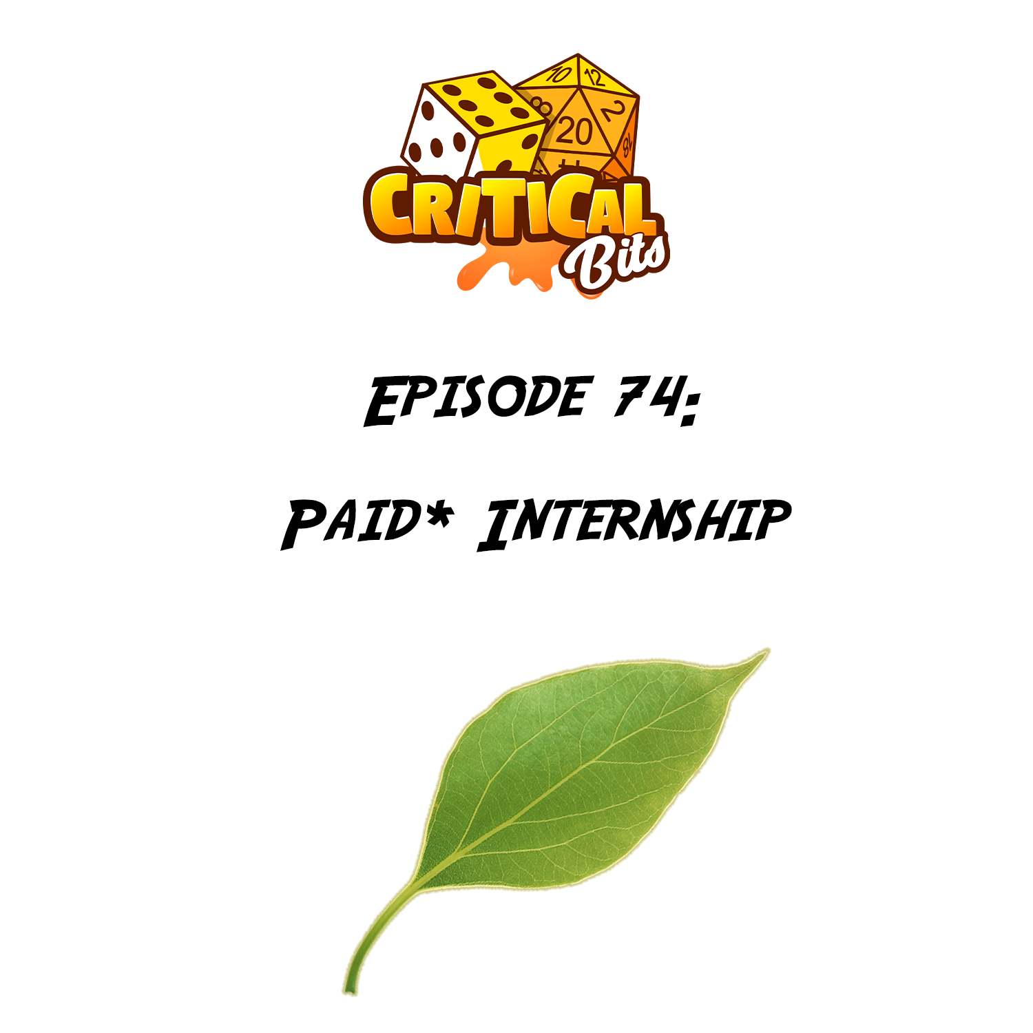 Episode 74: Paid* Internship