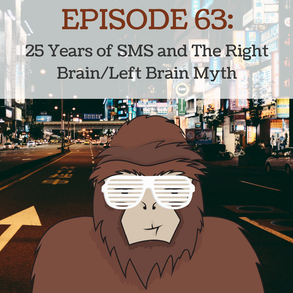 Ep 63 - 25 Years of SMS and the Right Brain/Left Brain Myth